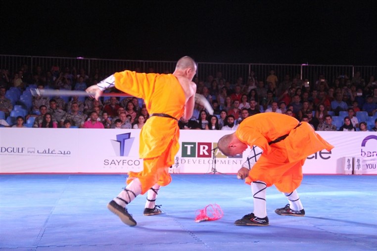 Martial Arts Festival